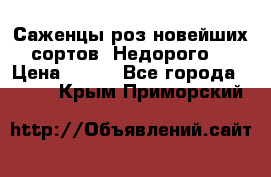 Саженцы роз новейших сортов. Недорого. › Цена ­ 350 - Все города  »    . Крым,Приморский